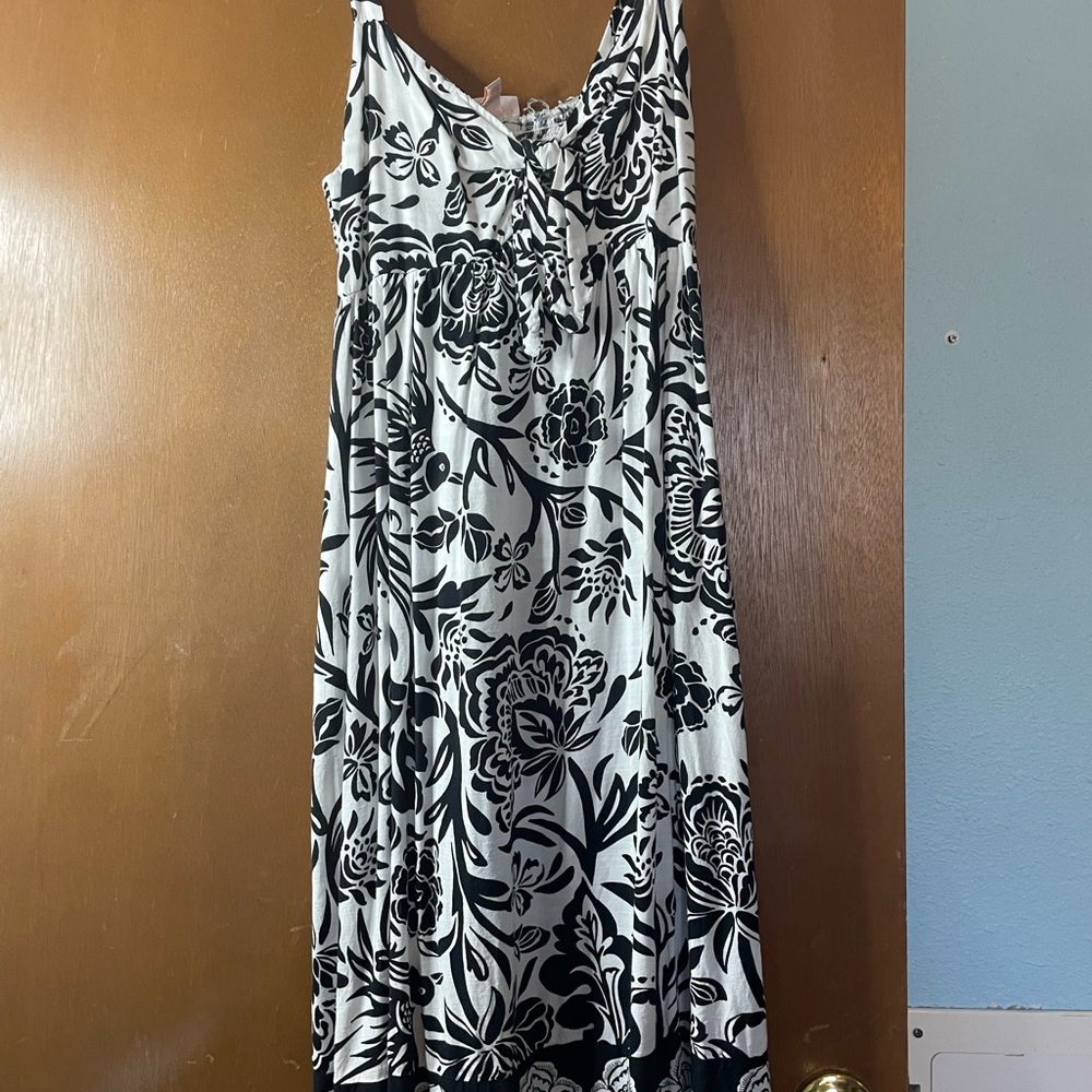 Knox Rose Monochrome Floral Dress